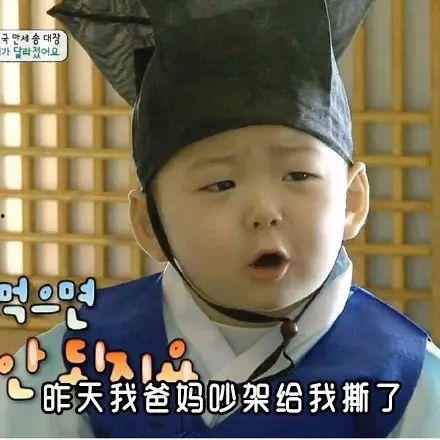 国产表情包图库大全视频,笑点满满，趣味横生