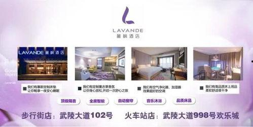 国产酒店免费福利视频,独家视频体验大揭秘  第1张