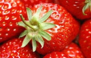 草莓视频国产天龙 央视,草莓视频与央视联手打造国产科幻巨作  第3张