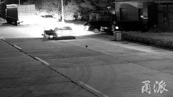 国产男士路边撒尿视频,国产男士路边撒尿事件引发热议 第1张 国产男士路边撒尿视频,国产男士路边撒尿事件引发热议 第1张