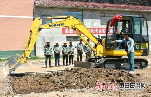 国产挖机伐树技术视频,高效环保的林业作业新篇章