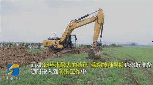 国产挖机伐树技术视频  第3张