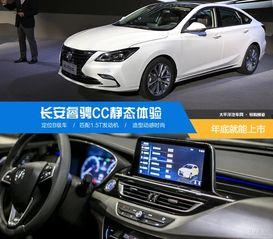 国产b级车横评视频