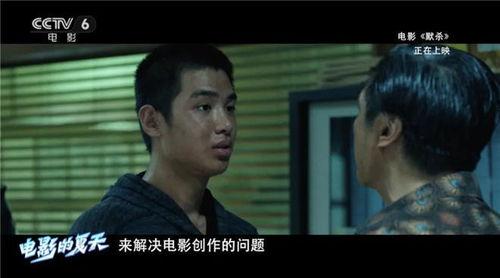 国产电影预告片套路视频,揭秘那些让人上瘾的预告片技巧